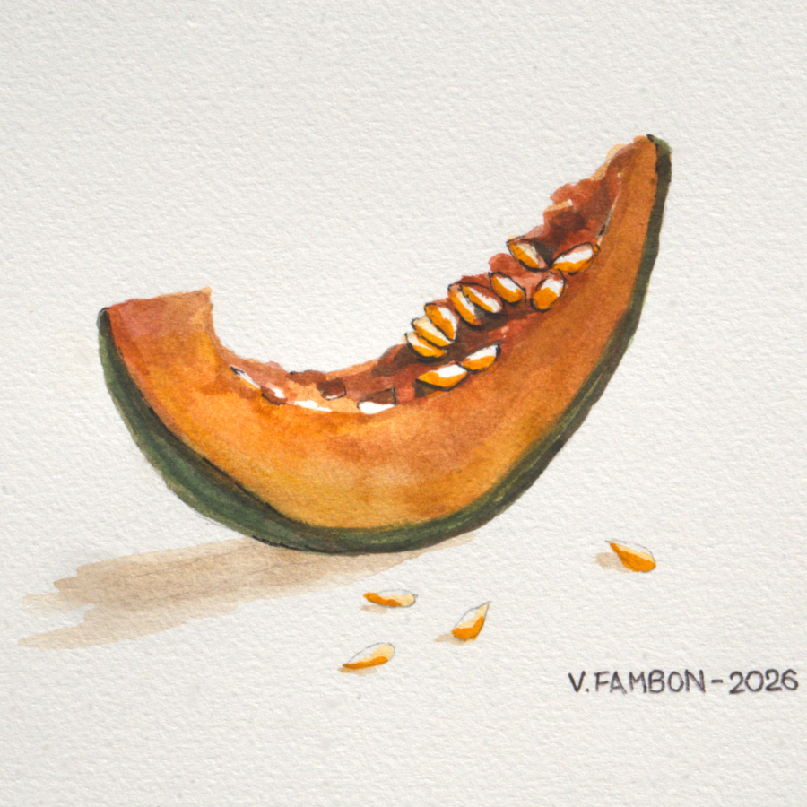 Parenthèse 47 - Melon